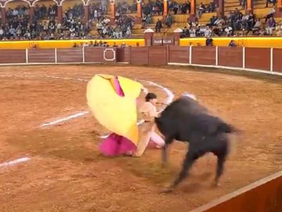El torero José Alberto Ortega sufre brutal cornada en la cara en Tlaxcala; lo reportan grave (Video)