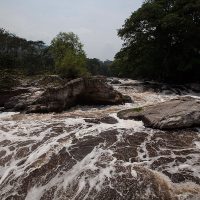 En busca de los desaparecidos en Veracruz