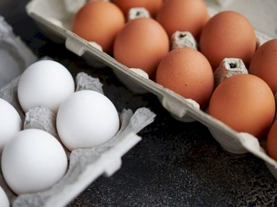 No tires el cartón de huevos y transformalo en un espectacular organizador que te va a salvar