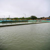 Nuevo León no trasvasará agua este año de presa El Cuchillo a Tamaulipas