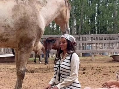Cómo son las constelaciones familiares con caballos, la terapia que eligió Charlotte Caniggia y que sana patrones emocionales