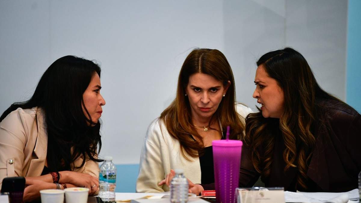 Carolina Viggiano (centro) durante el debate de la reforma