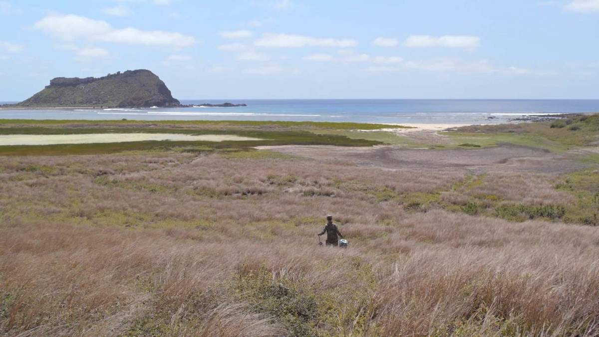 Panorámica de la isla Socorro