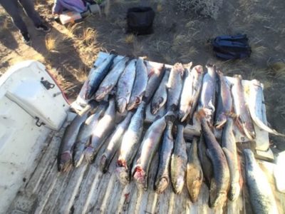 Multaron a cuatro personas por pesca furtiva en Piedra del Águila