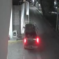 Tres perros son arrollados intencionalmente con un auto (video)