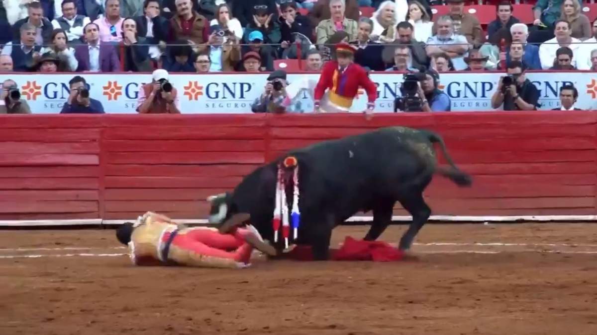 Momento de la cornada