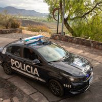 Diez detenidos con casi 300 kilos de carne en mal estado