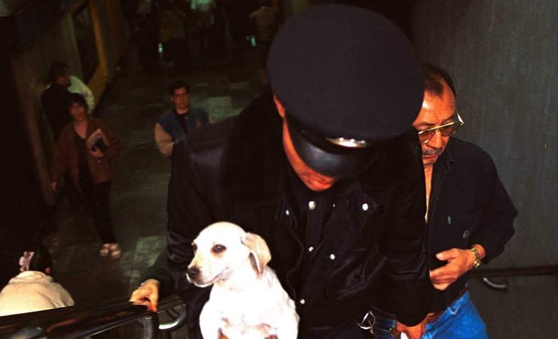 Rescate de un lomito de las vías del Metro