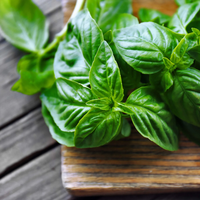 El ritual más poderoso con un ingrediente de tu cocina que te ayuda a atraer nuevas oportunidades en solo 7 días