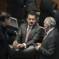 “Plan B” de reforma electoral no se aprobará fast track en el Senado: Mier