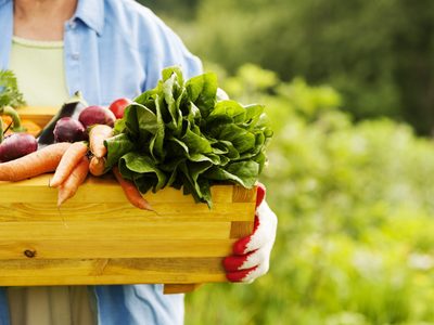 Cómo hacer las compras y cuidar el planeta