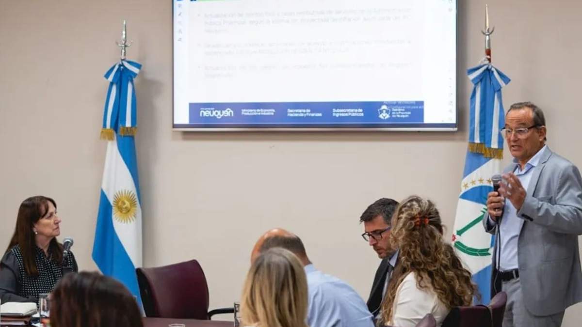 El  subsecretario de Ingresos Públicos, Juan Martín Insúa, informó a los diputados sobre los alcances del proyecto. Fuente: (Gobierno de Neuquén)