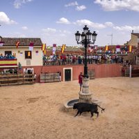 Ola de muertes en España pone fiestas taurinas bajo la lupa