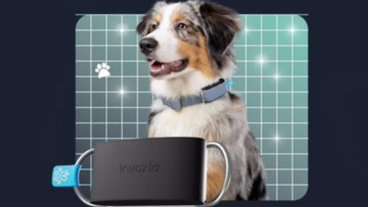 El nuevo collar inteligente para perros de Invoxia, Minitailz. - INVOXIA