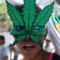 Con ley para regular mariguana, hasta 18 mil reos por posesión podrían quedar libres