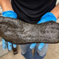 Zapatos gigantes hallados en Roma desconciertan a los arqueólogos