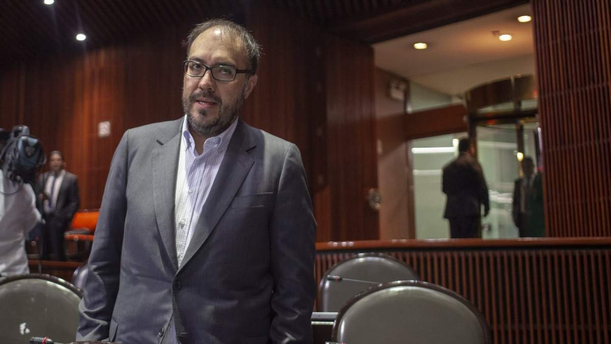 El diputado federal del PT, Mauricio Toledo