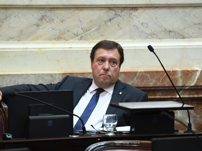 Tiempos políticos en Río Negro: qué dijo Weretilneck sobre su relación con Arabela Carreras