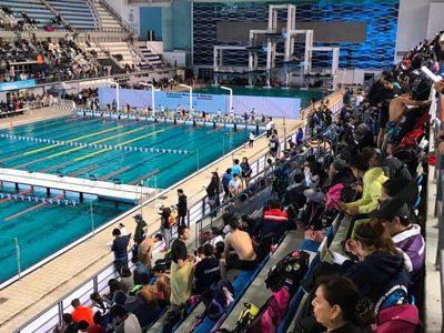 Los pleitos federativos hunden a la natación mexicana