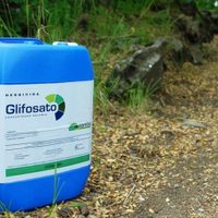 Alertan sobre caída de hasta 40% en la producción de alimentos si se prohíbe el glifosato