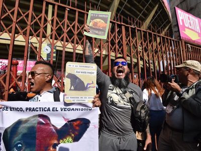 Plaza México reabre corridas de toros en medio de la inconformidad de activistas