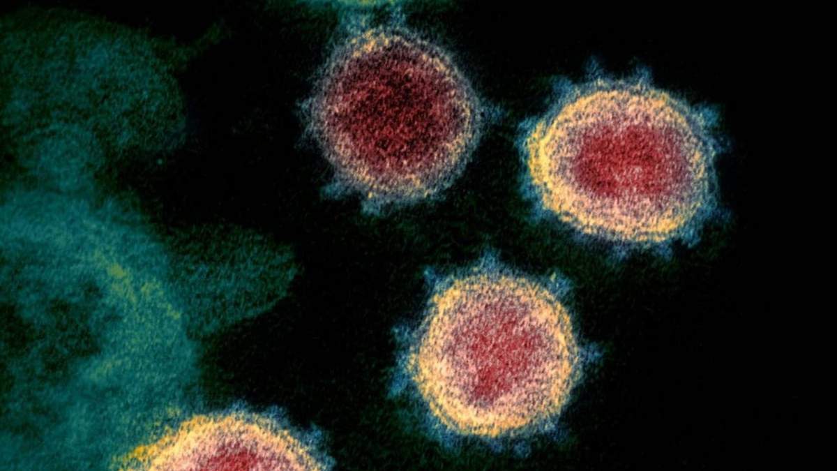 Coronavirus. Fuente: (Twitter)