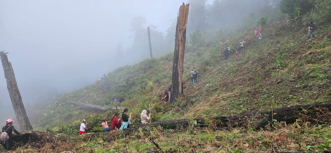 Mujeres reforestando1 16jul24