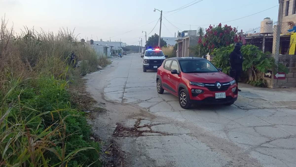 Violencia en la entidad