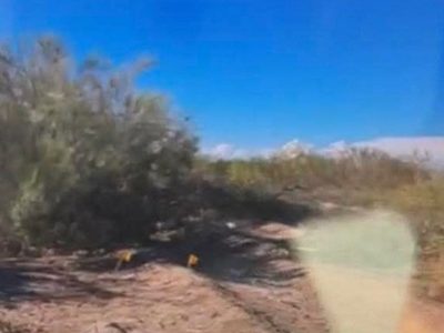 Ejecutan a tres niñas en Sonora; buscadoras encontraron los cuerpos baleados