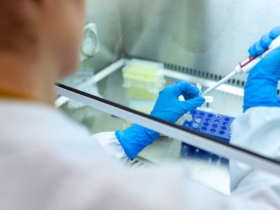 Coronavirus: más de 300 laboratorios realizan tests en Argentina