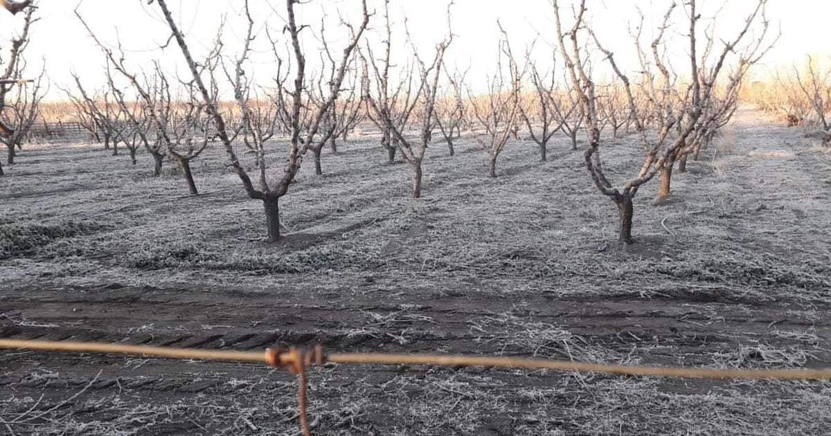 Emergencia agropecuaria. Fuente: (Instagram)