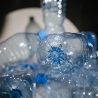 Cuidá tus plantas con esta solución económica y reciclada: sistema de riego por goteo DIY