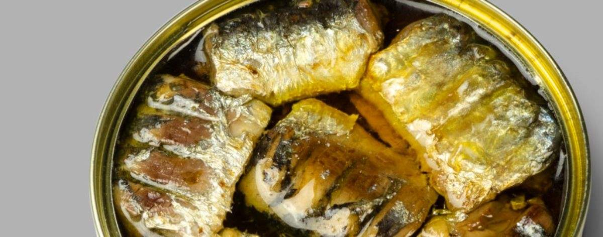 Conservas de pescado sustentables. Fuente: (Instagram)