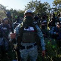 Un vistazo a los cárteles de narcotráfico declarados como "terroristas" por Trump