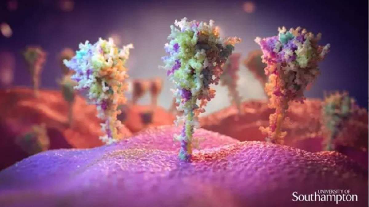 Imagen artística del pico de proteína en la superficie de las células expuestas a la vacuna contra covid-19