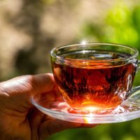 Beneficios comprobados del alcaucil: el té que ayuda a bajar el colesterol y cuidar la función hepática