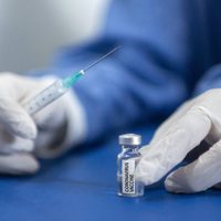 Coronavirus: Bariloche reinicia la vacunación en adultos mayores