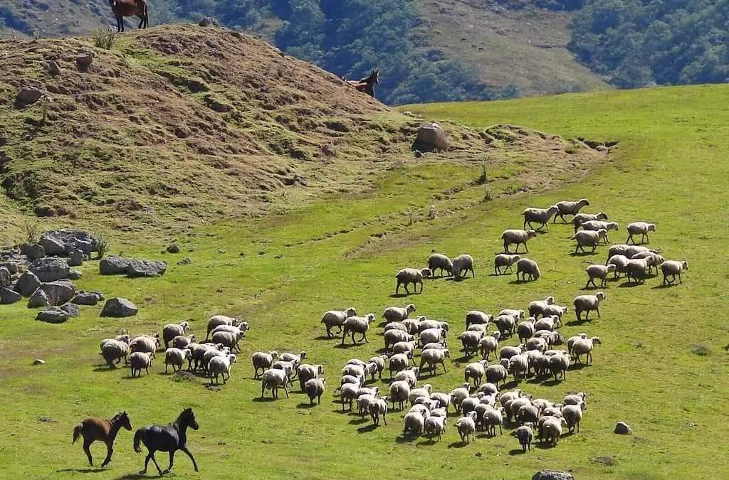 El Turismo rural se prepara para depués de la pandemia. Fuente: (Intagram)
