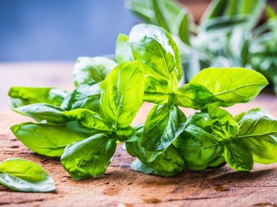 Igual que el ibuprofeno: la poderosa planta que alivia dolores y que podés cultivar en casa