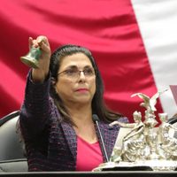 Marcela Guerra es la nueva presidenta de la Cámara de Diputados