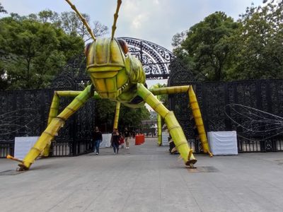 Insectos gigantes llegarán al Bosque de Chapultepec en el festival Insecta