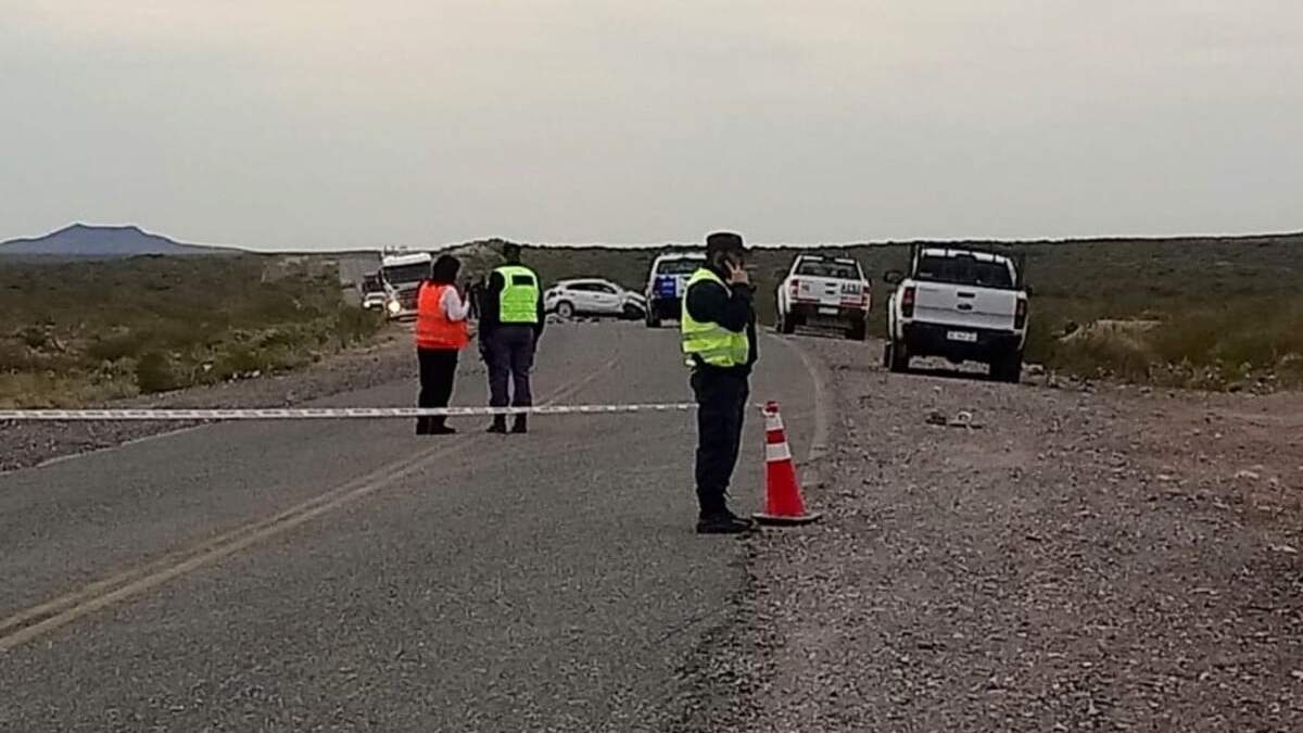 El siniestro ocurrió en la Ruta 6 a unos 20 kilómetros de Rincón de Los Sauces. Fuente: (Facebook)