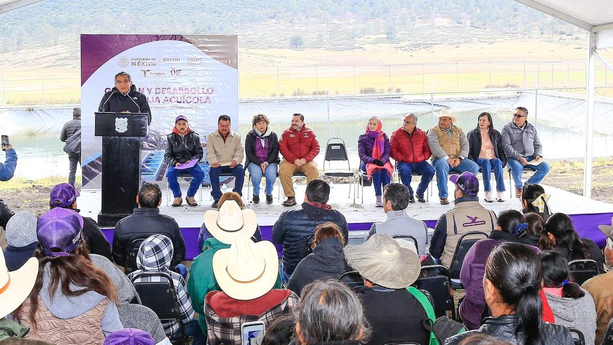 Todas las familias tamaulipecas tendrán energía eléctrica: Américo