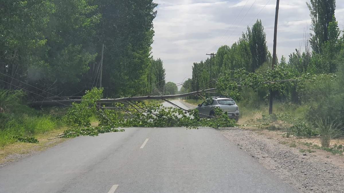 Uno de los incidentes ocasionados por el viento en General Roca. Fuente: (Twitter)