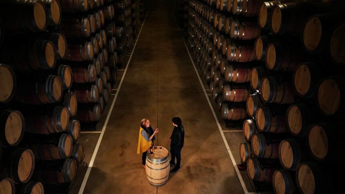 Serie sobre vino para Millenials. Fuente; (Facebook)