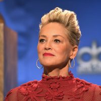 Con un gran descargo Sharon Stone promovió el voto para el partido demócrata abiertamente