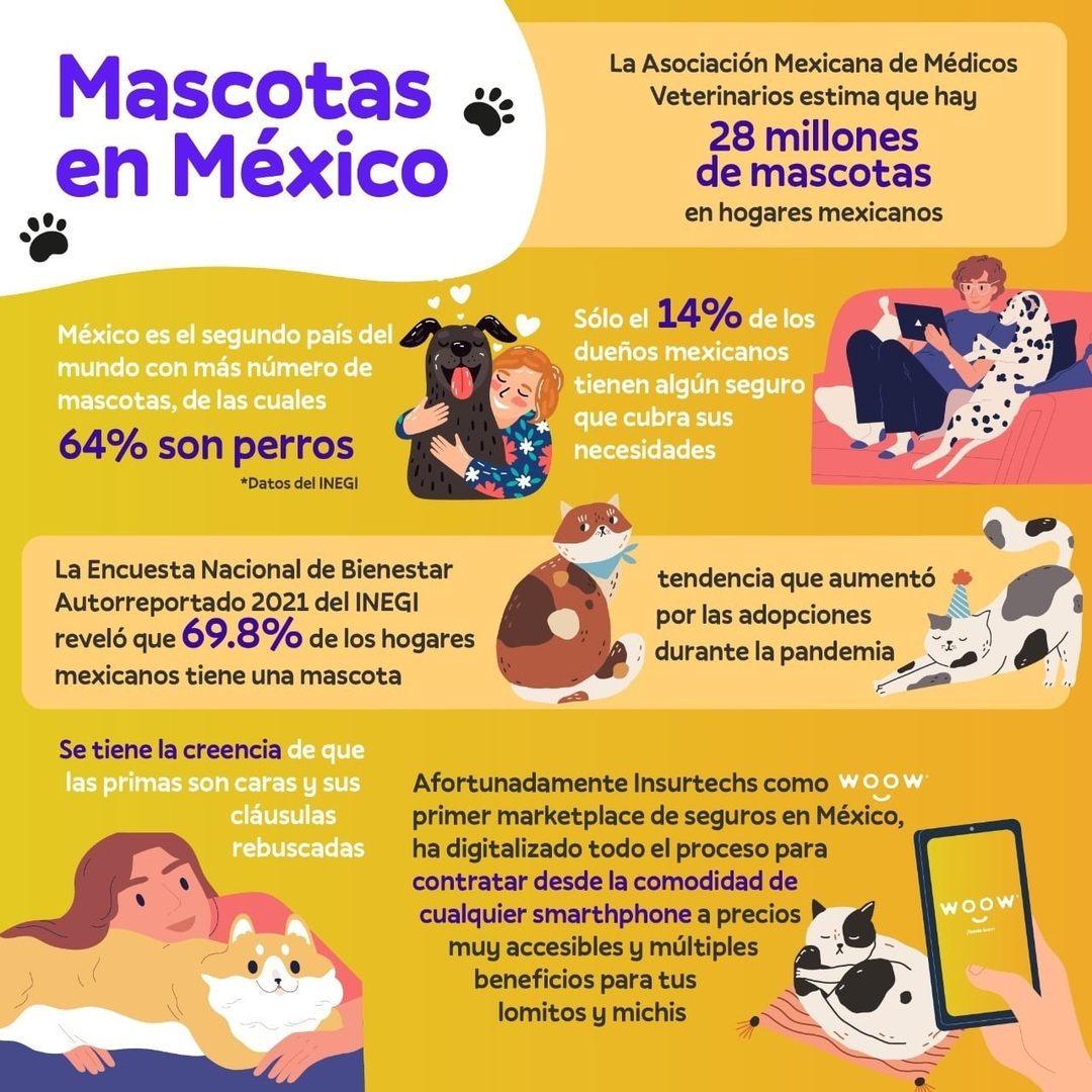 mascotas