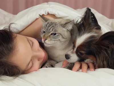 Dormís con tu mascota en la cama: qué dice la psicología sobre vos y tu forma de vincularte
