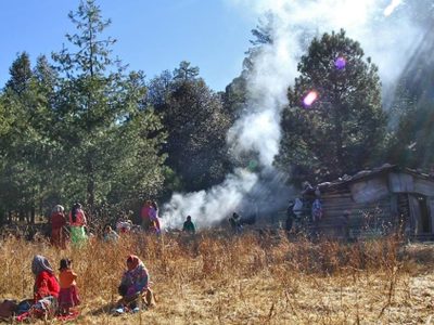 Denuncian tala ilegal en Choréachi, en la Sierra Tarahumara