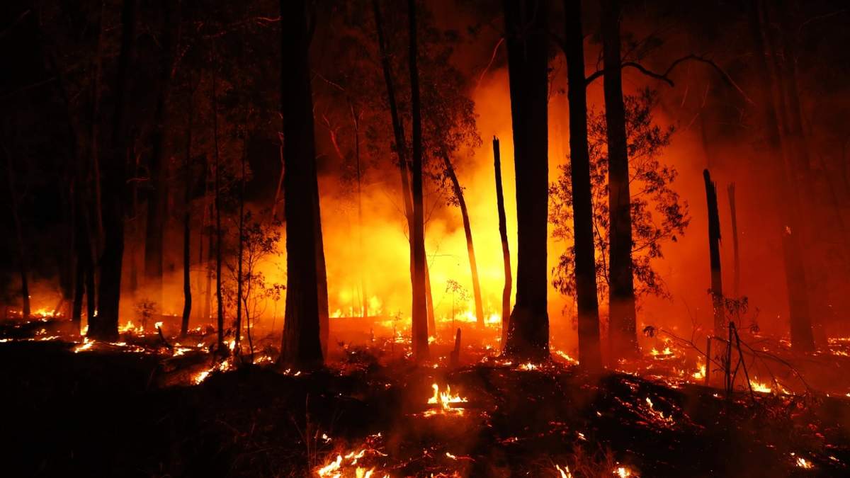 El Frente de Todos presentó un proyecto de protección ambiental en diputados. Fuente: (Twitter)